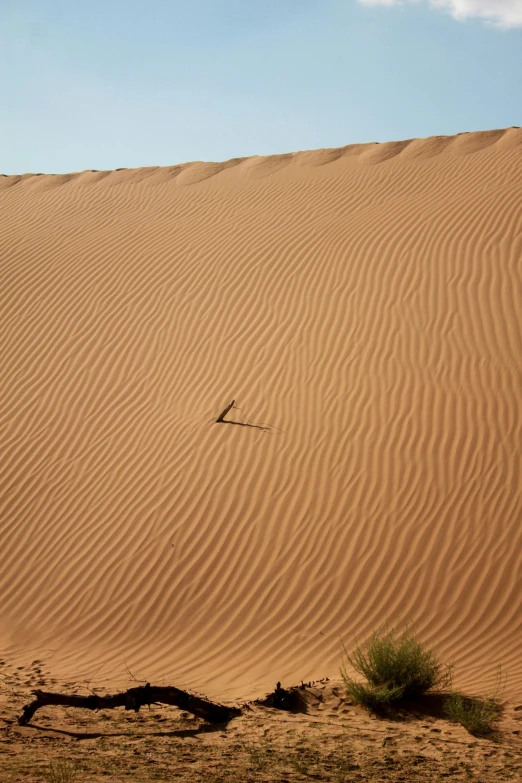 a person riding down a trail across a large field