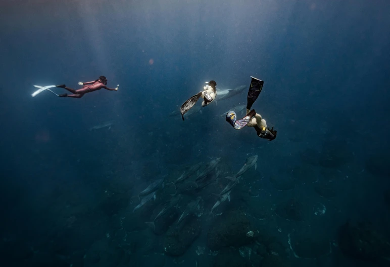 a group of people diving off the side of a boat in a body of water