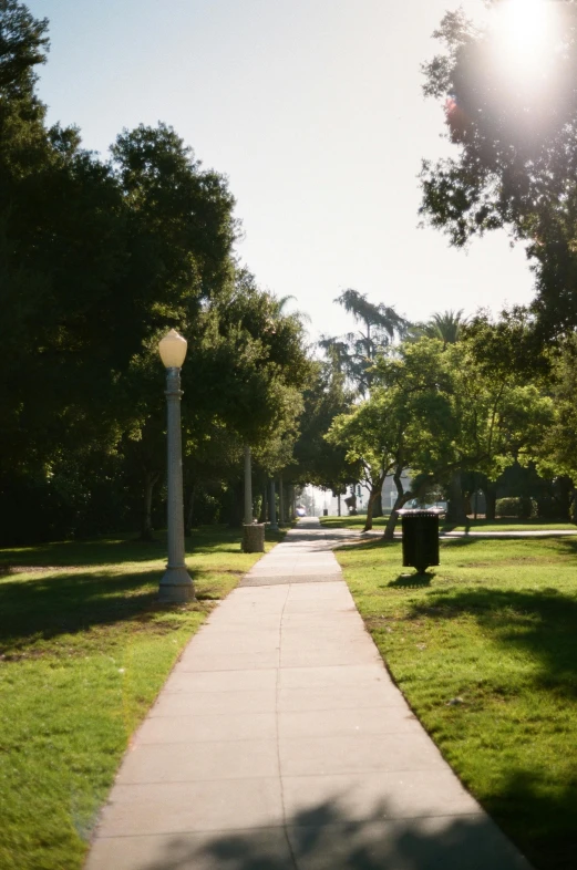 the walkway along the side of a park has grass and trees