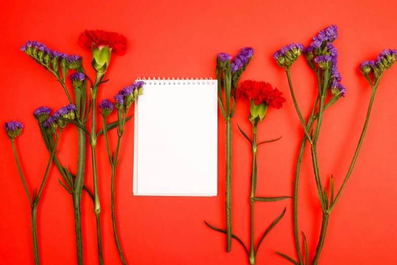 flowers next to an open notebook on a red background