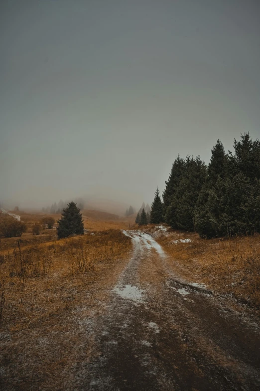 a dirt road with fog rolling in the distance