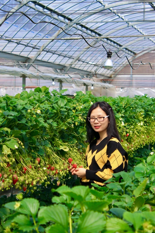 a lady in a striped shirt is standing in a strawberry patch