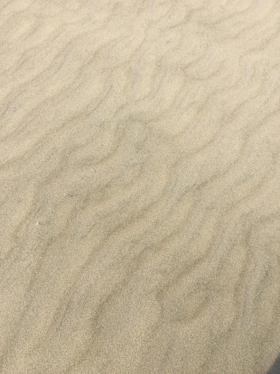 sand covered field with green plant in the distance