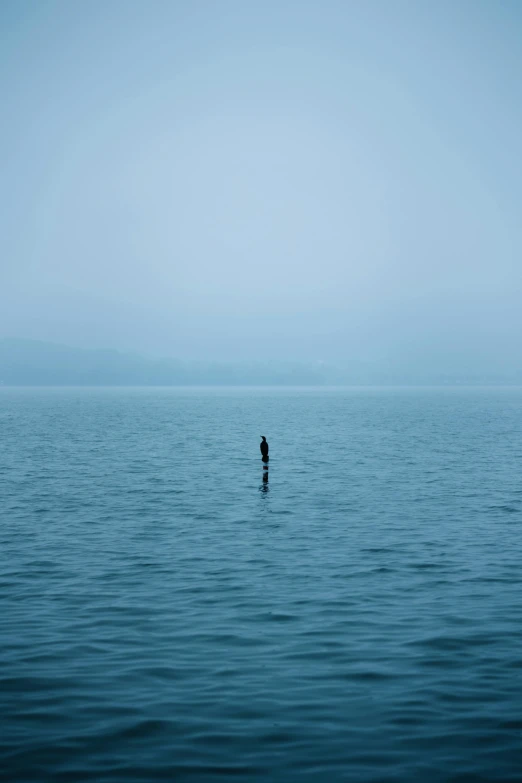 two people standing in the middle of calm ocean waters