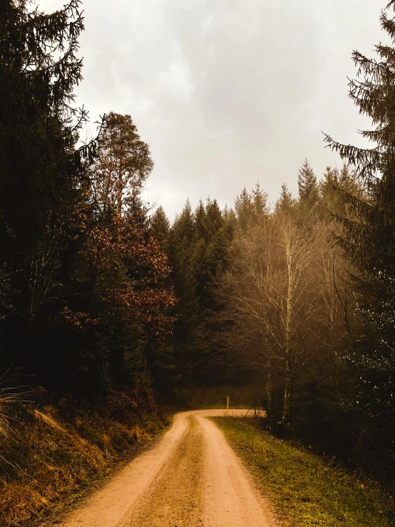 the dirt road is very wide and has no traffic on it