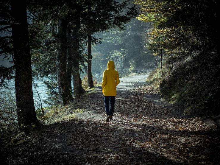 person in yellow jacket walking on path between trees