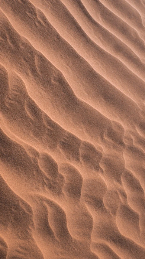 the sandy ground with ridges are very brown