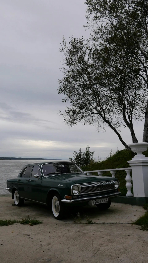 an old green car is parked on the concrete near a big tree