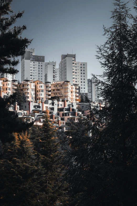 some tall buildings standing near trees and bushes