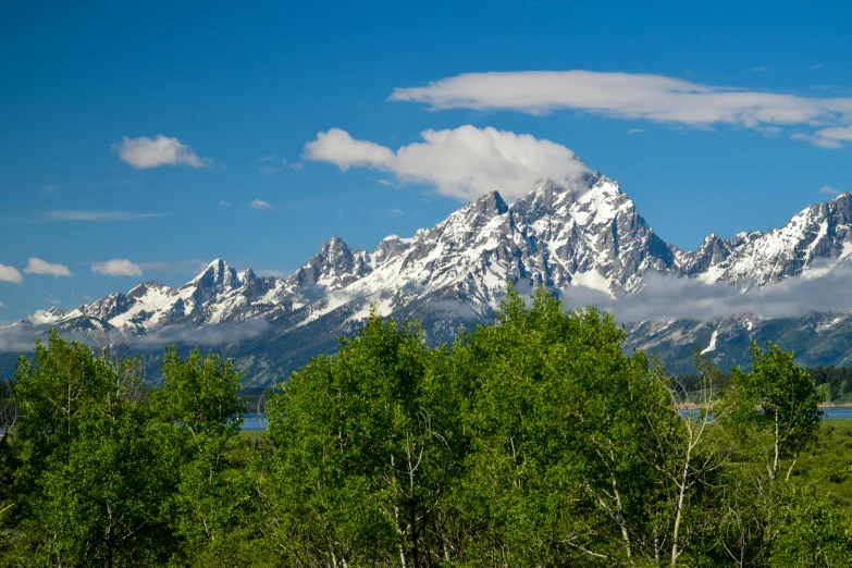 a mountain range covered in snow sitting behind trees