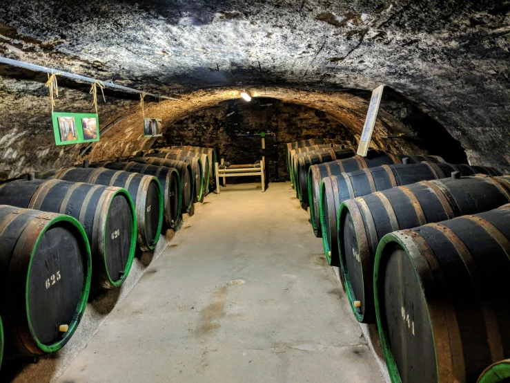 a wine cellar has wooden barrels in it