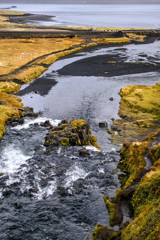 a small river flowing through a lush green field