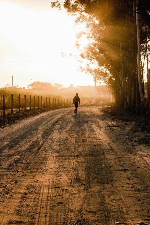 a person walking down a dirt road past trees