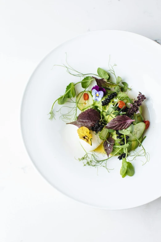 a white plate topped with green leaf and vegetable salad