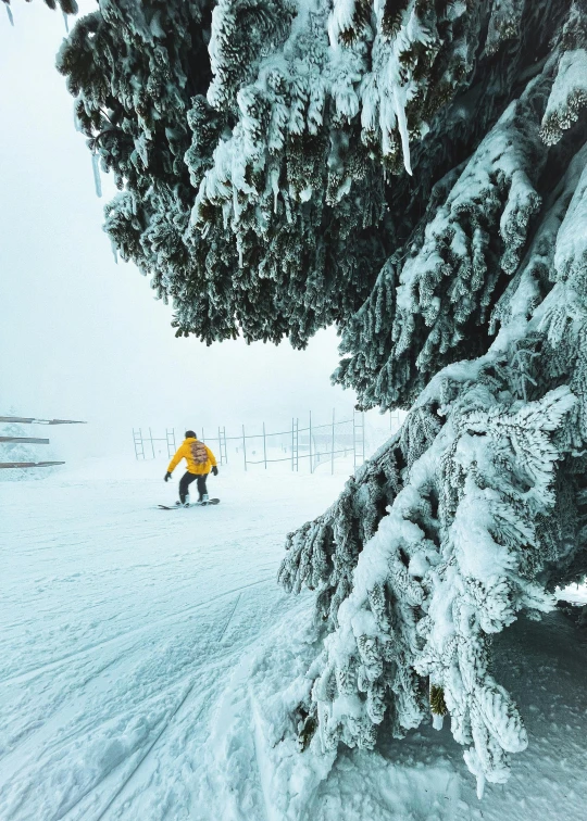 a man in orange jacket skiing down snow covered slopes