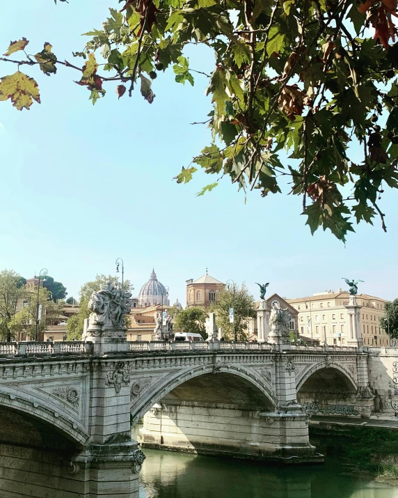 the water below the bridge is calm and still green