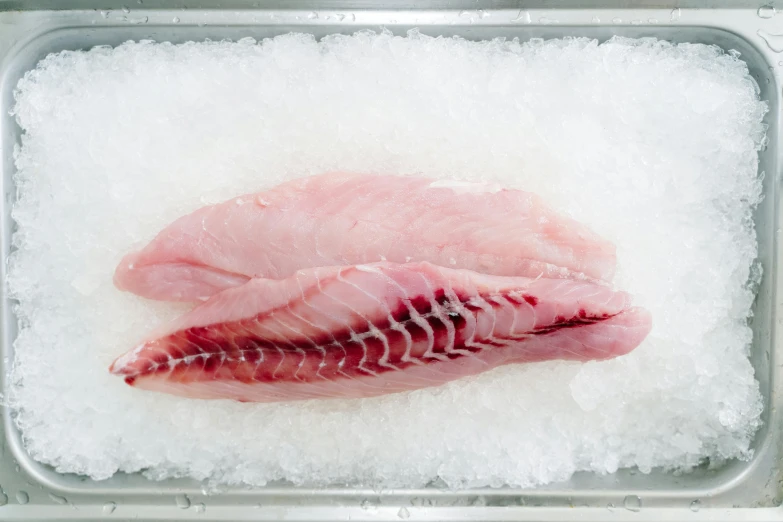 fish fillet on ice, surrounded by water