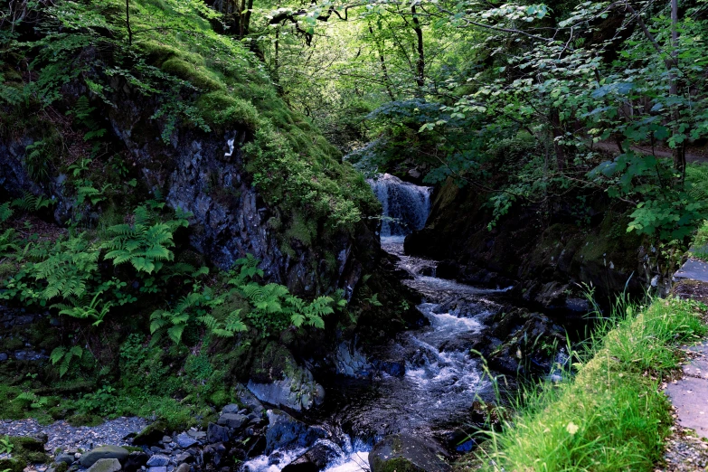 there are a few waterfalls in the woods