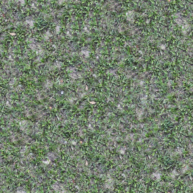 a very green grass texture with lots of small spiky green leaves