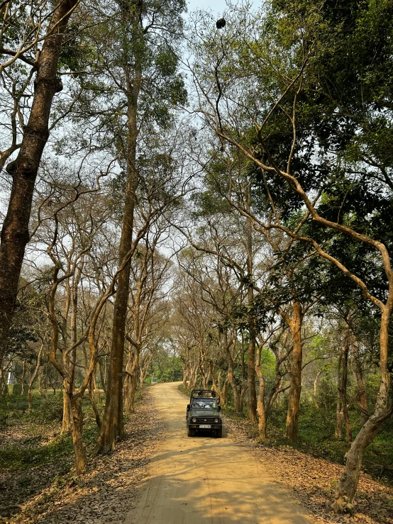 a car is driving through some trees in the dirt