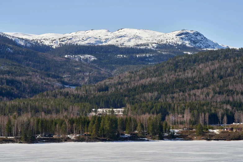 a snow covered mountain has trees on it