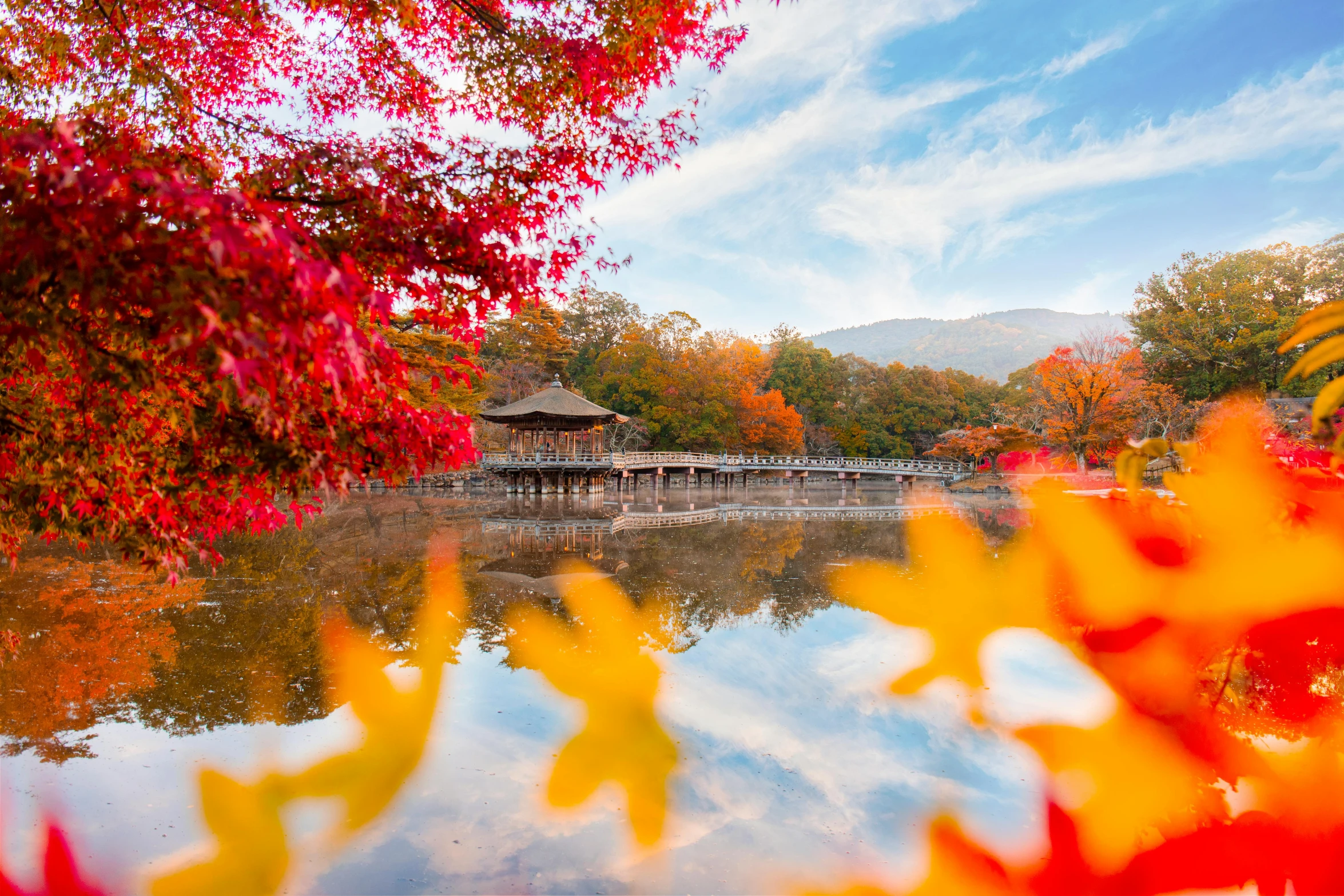 a river with lots of water and trees with autumn foliage