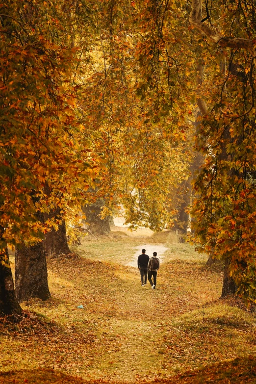 two people walking down a pathway through the trees