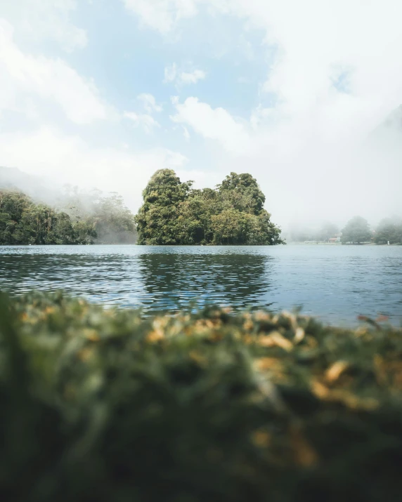 a body of water that has some trees in it