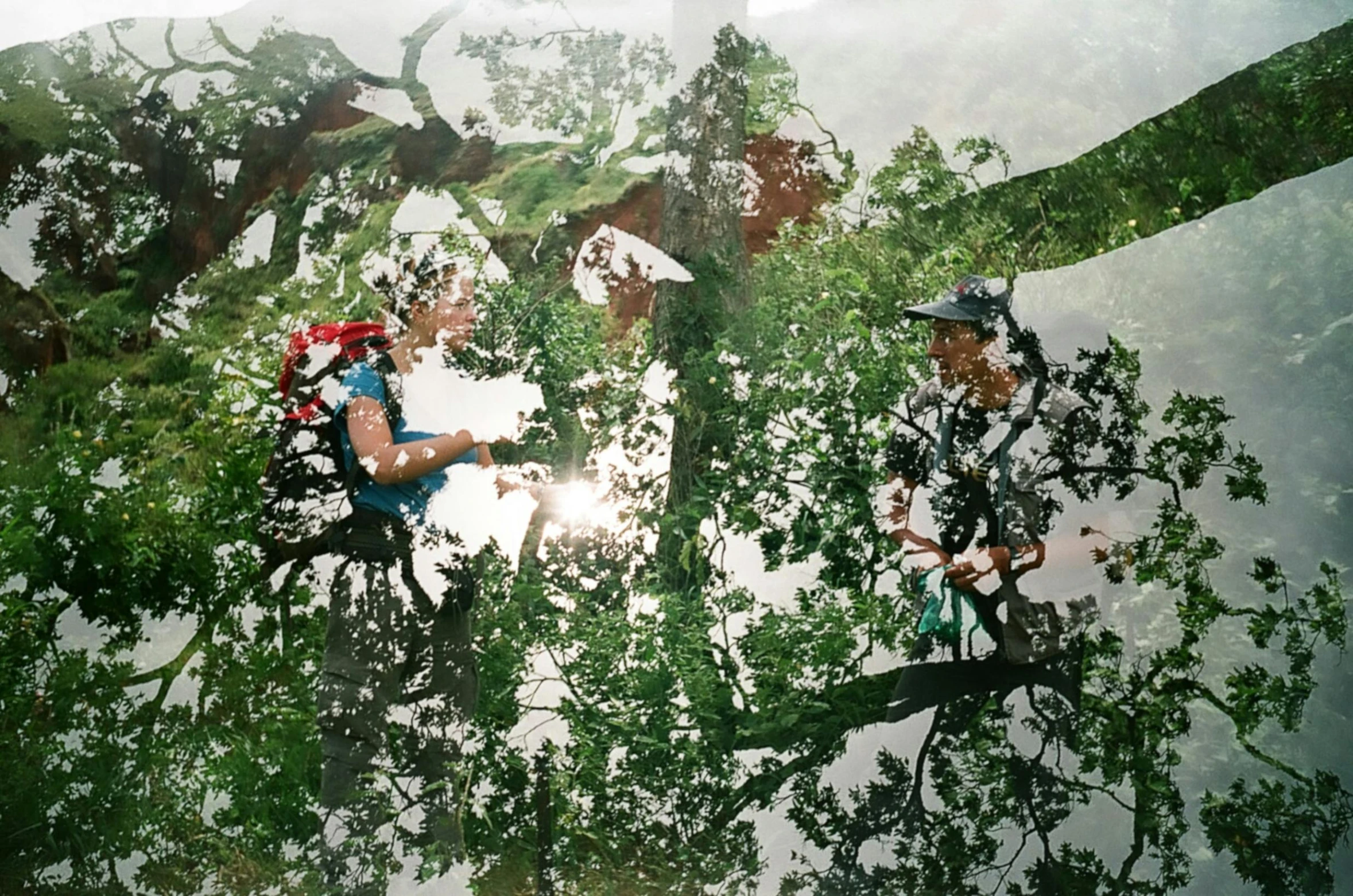 two men sitting in the middle of a forest