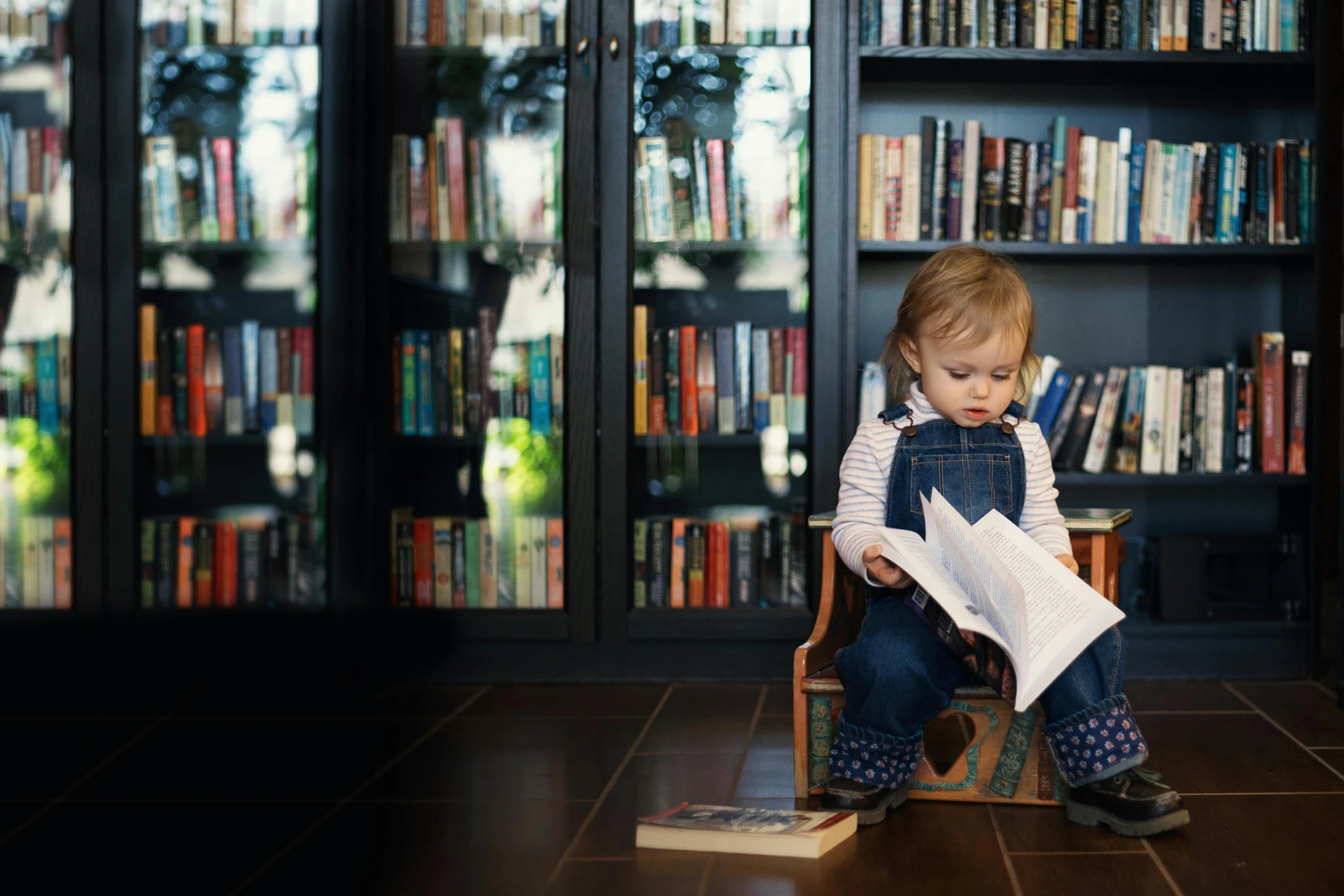 a  is sitting on a chair in front of the bookshelf