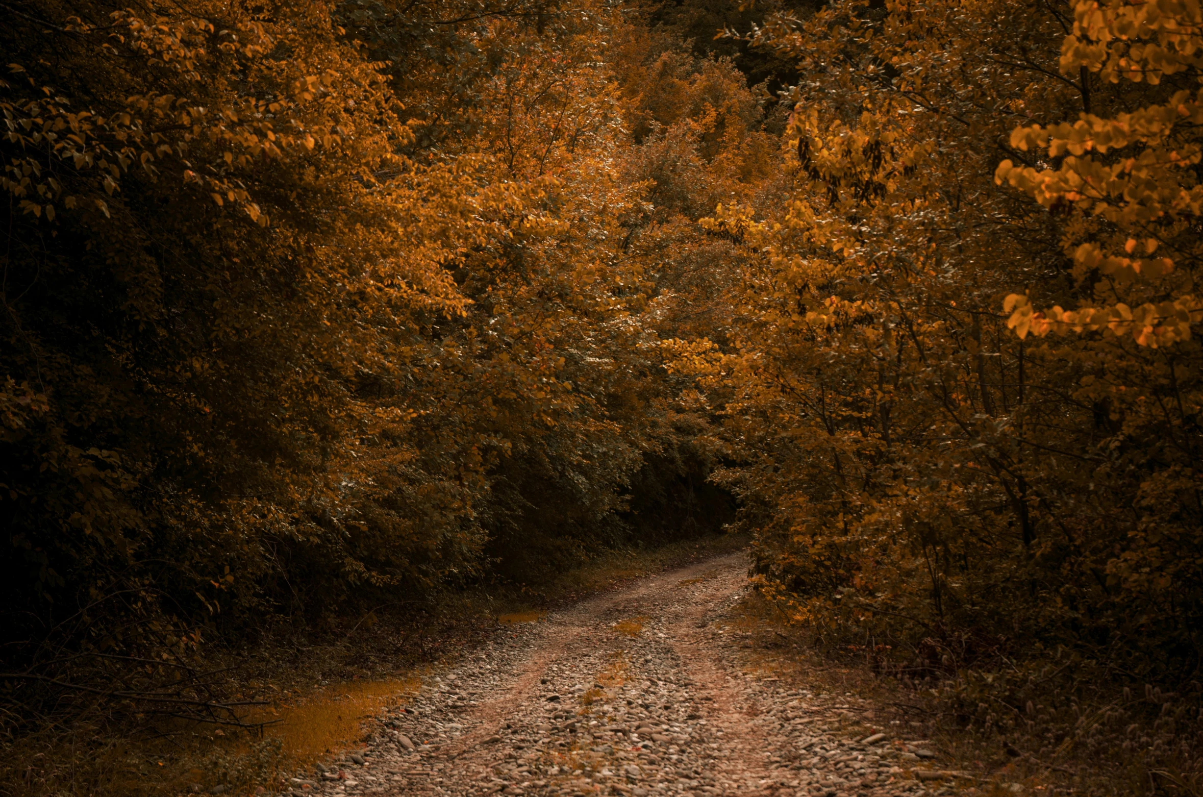 the road is narrow and very dirty in the dark