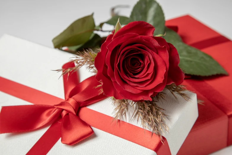 a big red rose sits on top of a white box