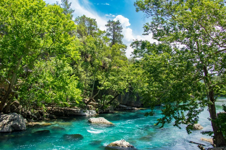 a river that is surrounded by trees and rocks