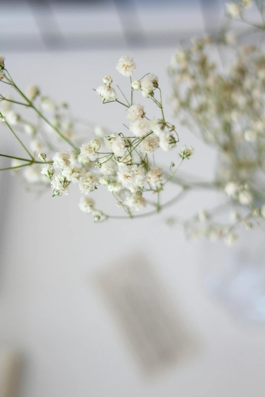 the small white flowers are in a glass vase