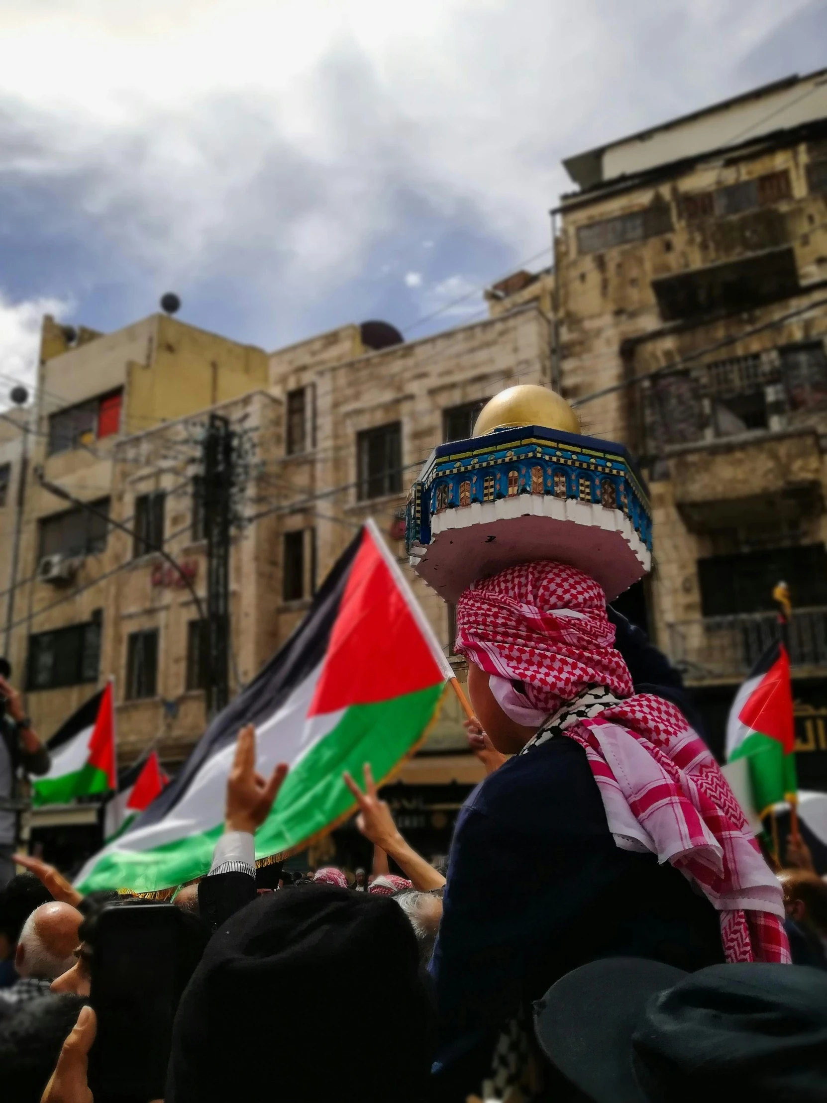 there is a flag being held at the rally