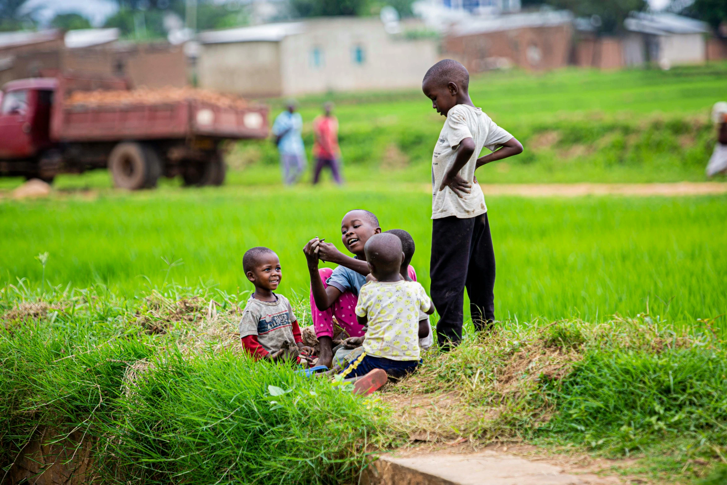 there are many children playing in the grass