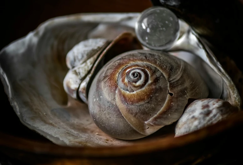 a snail sitting on top of an object