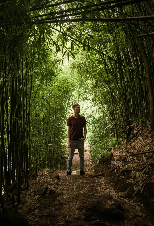 a man standing in the middle of a bamboo forest