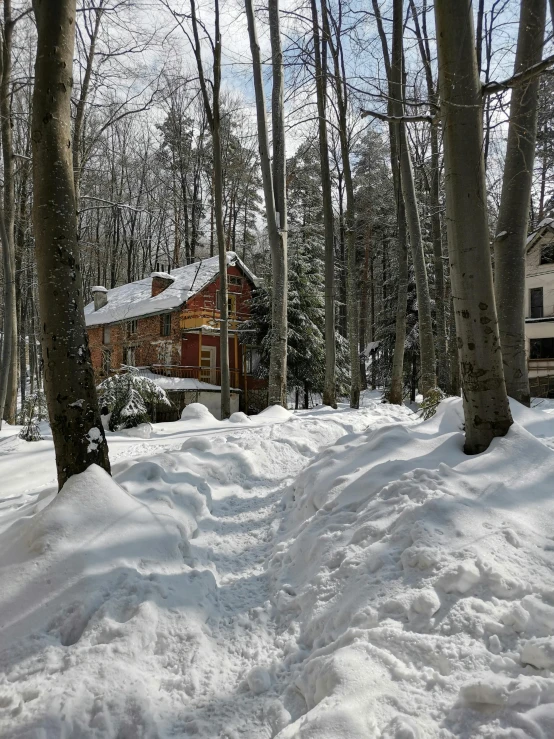 a house is next to some trees covered in snow