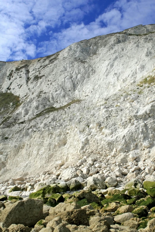 some rocks and plants next to a mountain