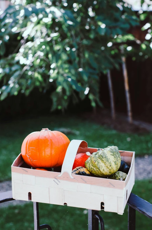 several fruits in a cardboard box on a table outside