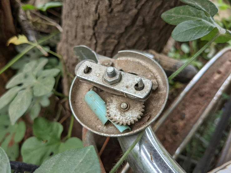 a close up view of an old bicycle in the grass