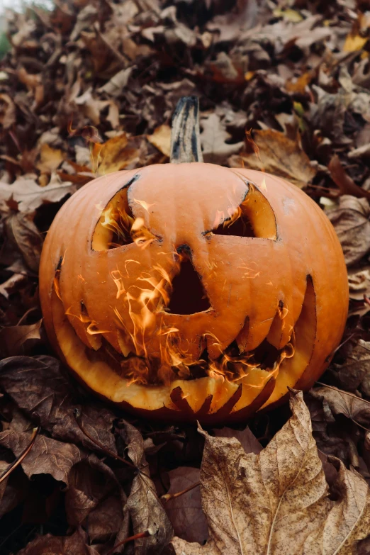 a pumpkin sitting on a bed of leaves in a wooded area