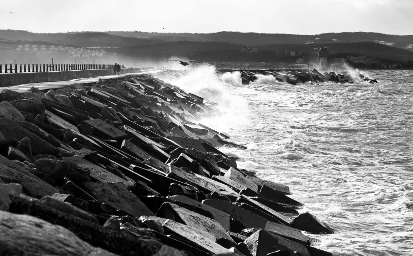 some large pieces of driftwood are lined up at the ocean's edge