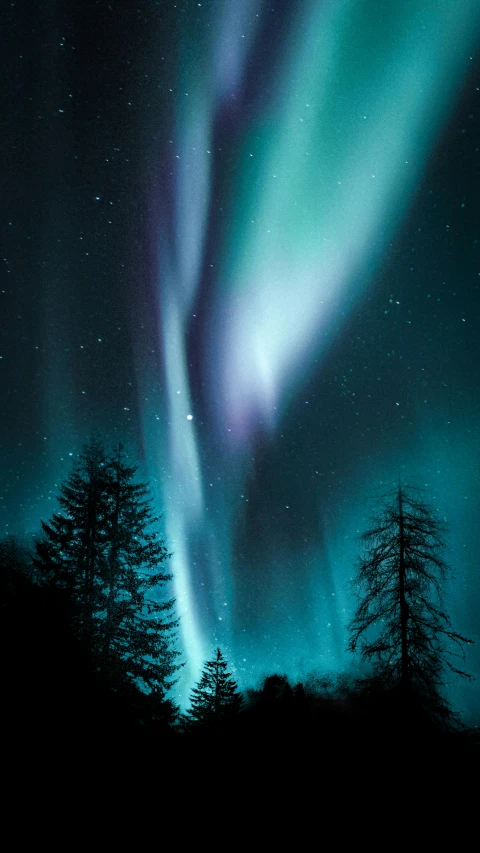 the night sky with the aurora lights glowing bright blue