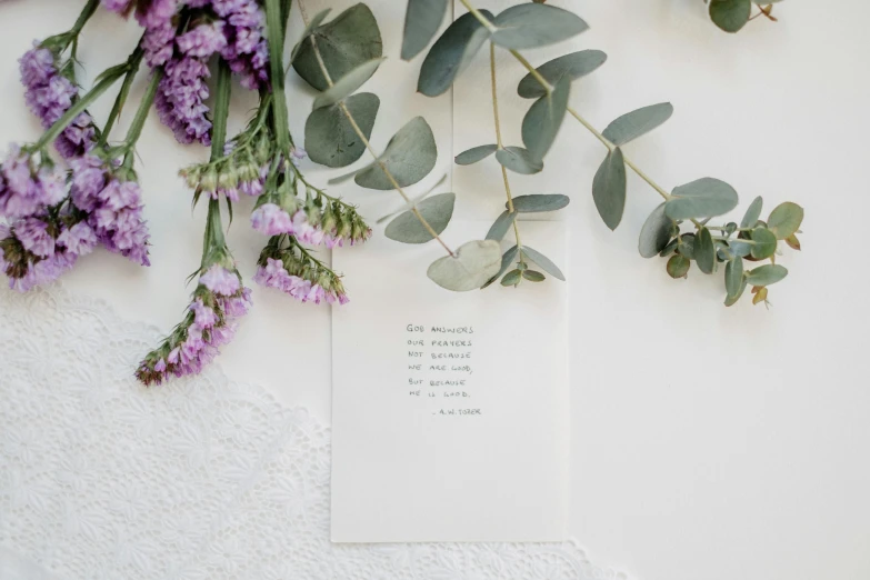 an image of purple flowers next to an empty card