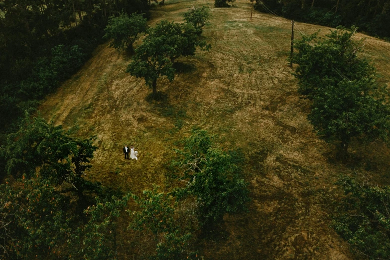 a couple standing in the middle of an apple orchard