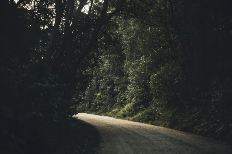 a dirt road between two trees on both sides