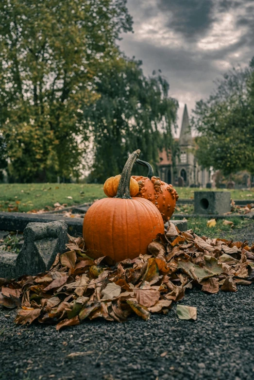 a pile of fall leaves laying on top of a grass covered field