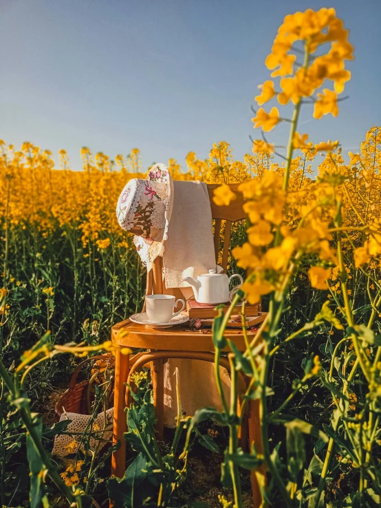 chair covered in white bonnet with pot on end with yellow flowers